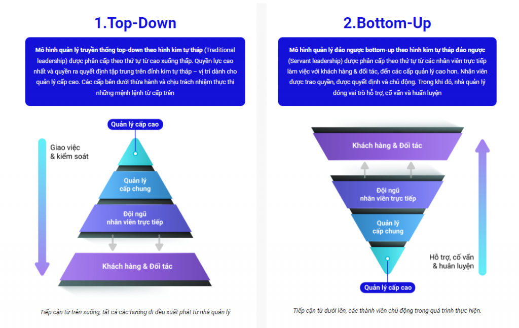 phương pháp quản trị Top - Down và Bottom Up